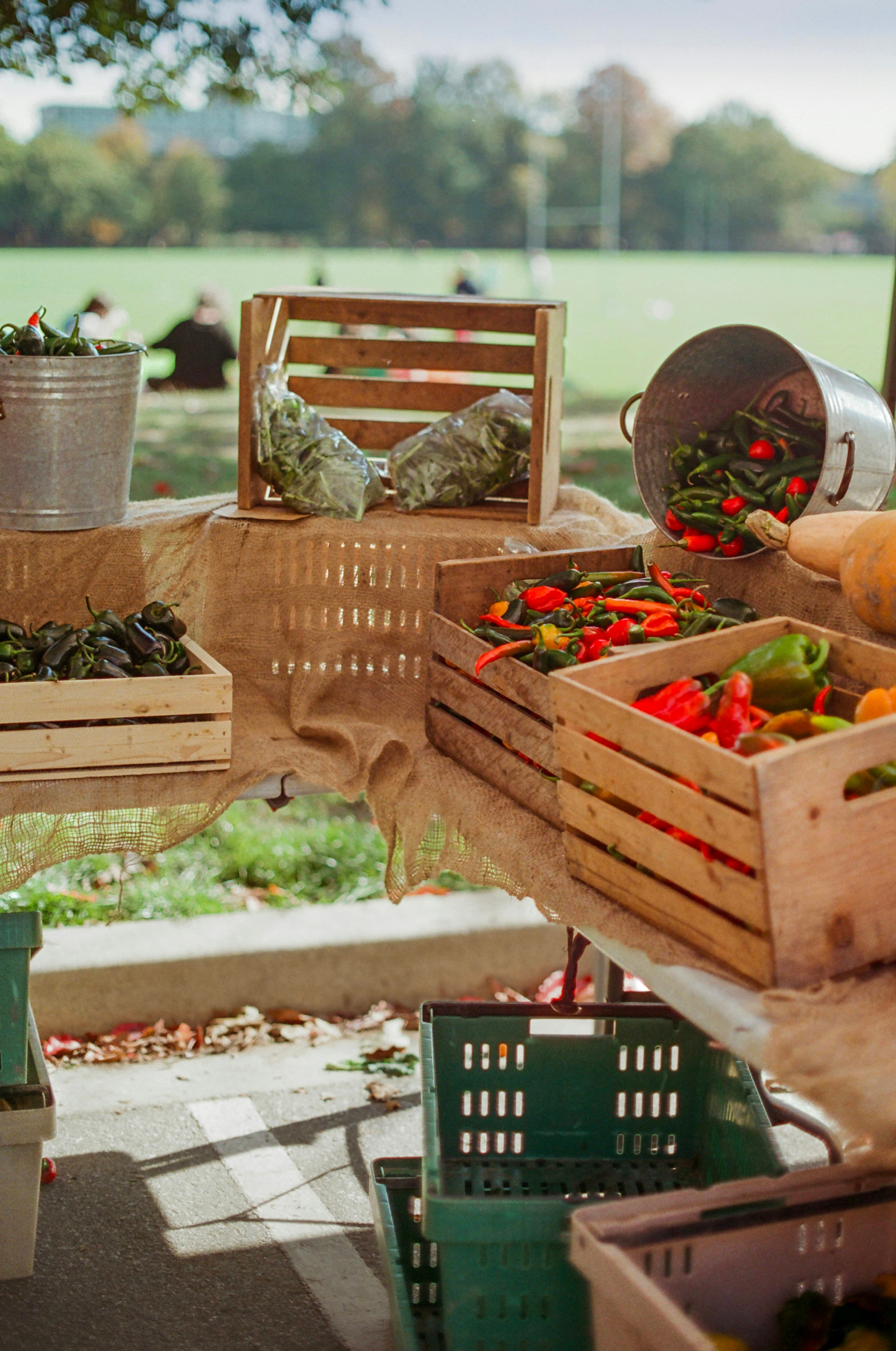 Wineries, cideries & farm stands